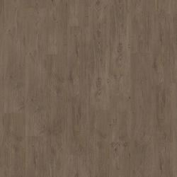 legacy pine / brown (4V), Tarkett Starfloor Click (55)