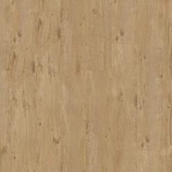 alpine oak / natural, Tarkett Starfloor Click (55)