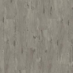 alpine oak / grey (4V), Tarkett Starfloor Click (55)