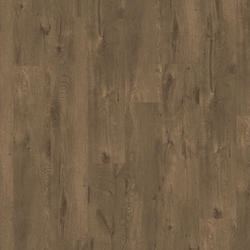 alpine oak / brown (2V), Tarkett Starfloor Click (55)